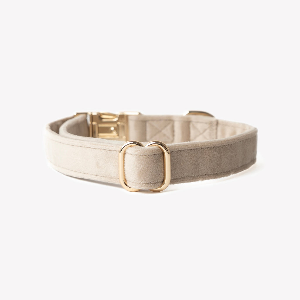 'Sand' - Velvet Dog Collar