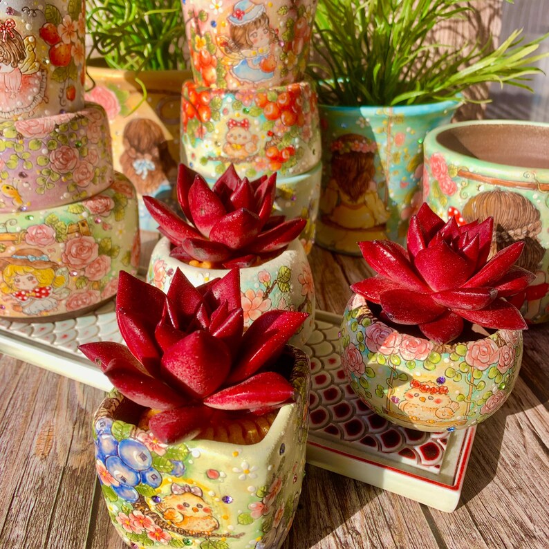Echeveria Agavoides v. 'Romeo Rubin' - Rare Succulent Live Plant 1.5"–2" - For Home Decor | Perfect Gift for Succulent Lovers | Holiday Gifts