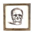 Skull Illustration<br>Framed Art