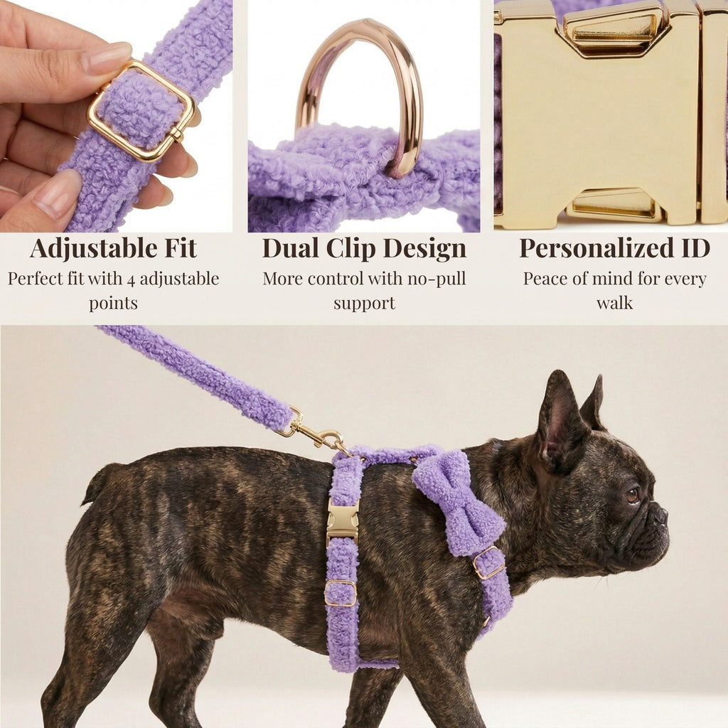 Teddy Purple Set
