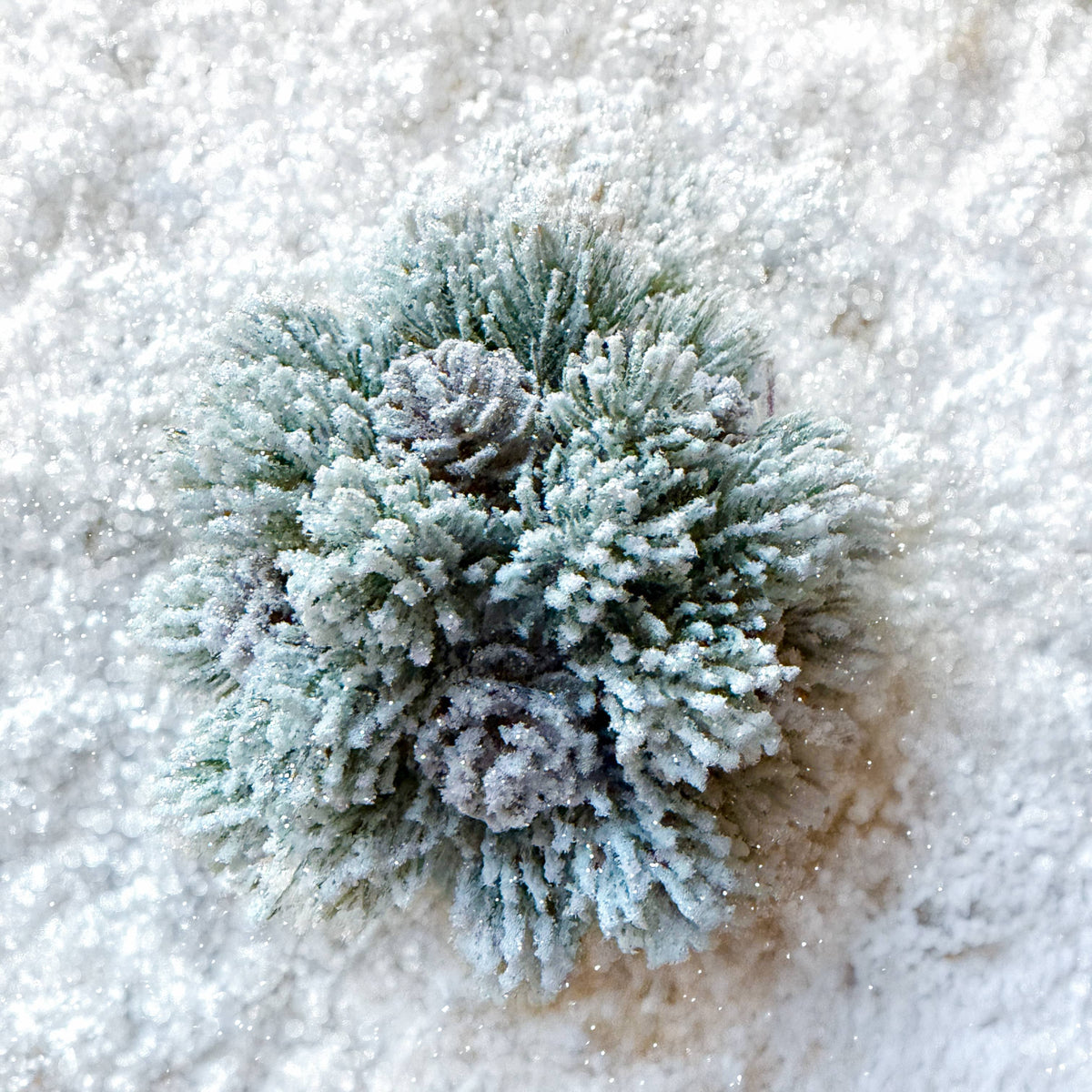 Snowy Pinecone Ball 5.5 Inch - Winter Home Decor
