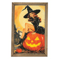 Witch on a Jack O Lantern Framed Art