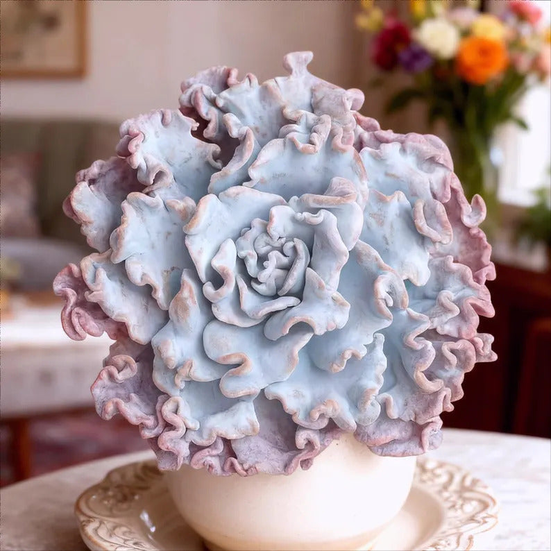 Crispate Beauty Rare Succulent Plants, 3.5" Green Imported Live Succulent Plant, Indoor Office Wedding Party Decor Gifts