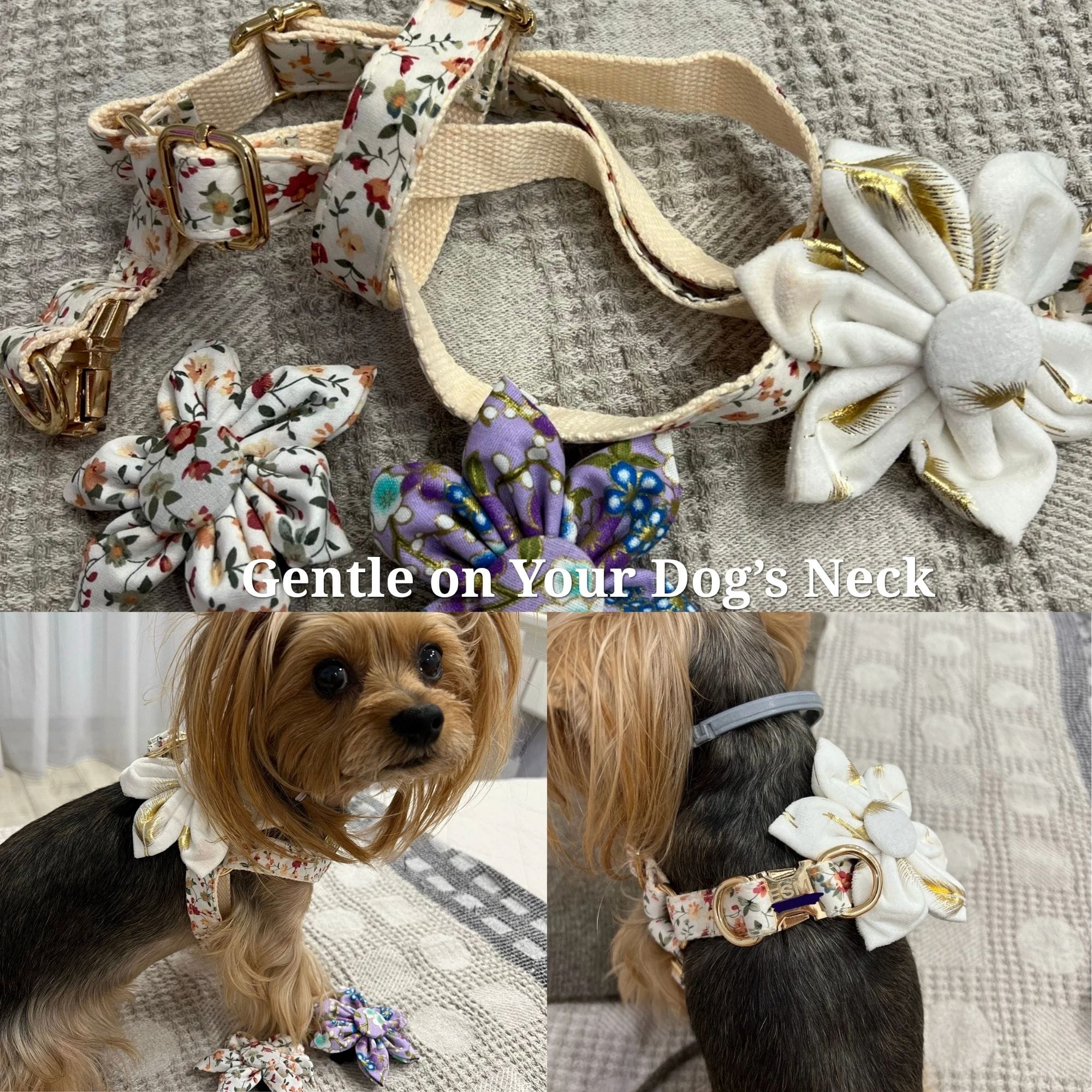Ivory Gold Leaf Velvet Set