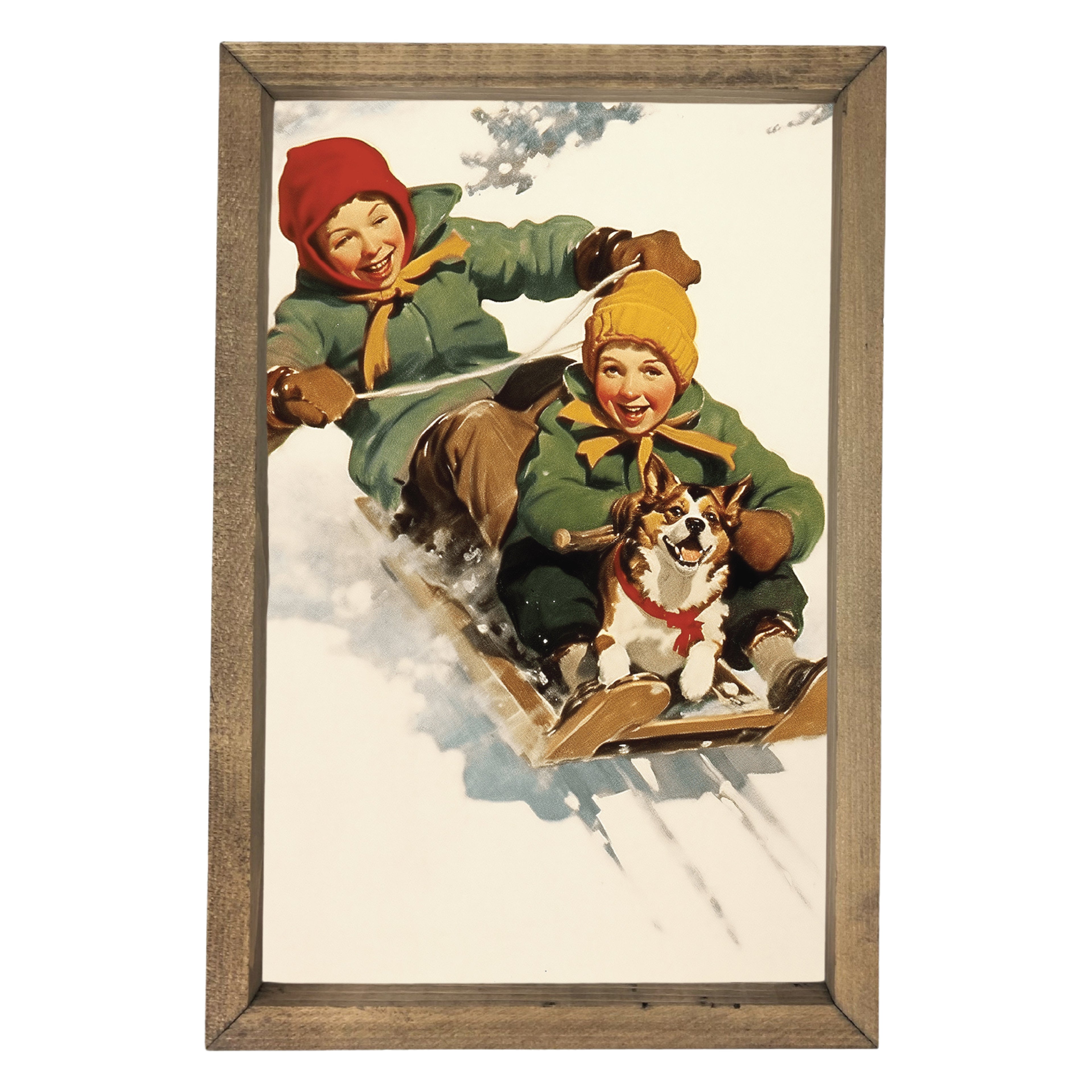 Downhill Adventure Framed Art