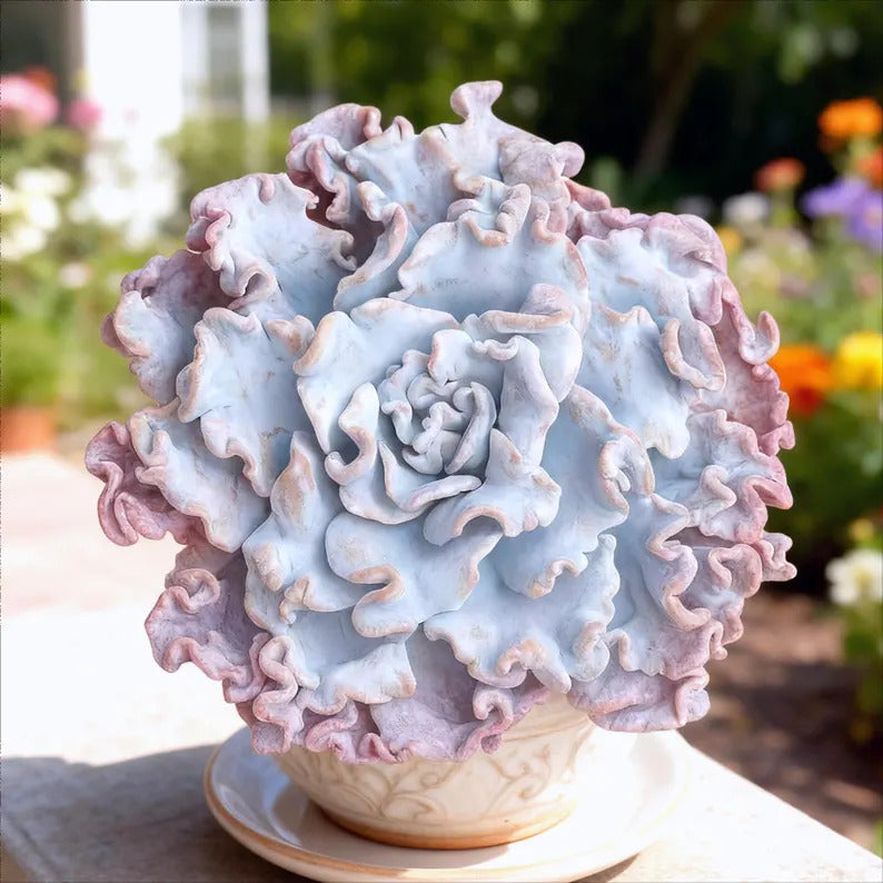 Crispate Beauty Rare Succulent Plants, 3.5" Green Imported Live Succulent Plant, Indoor Office Wedding Party Decor Gifts