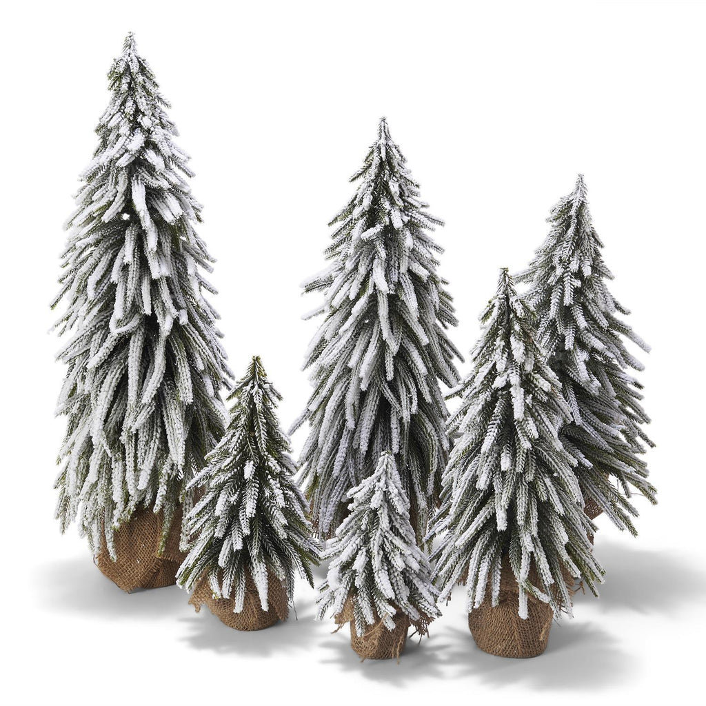 Snow Covered Trees OG