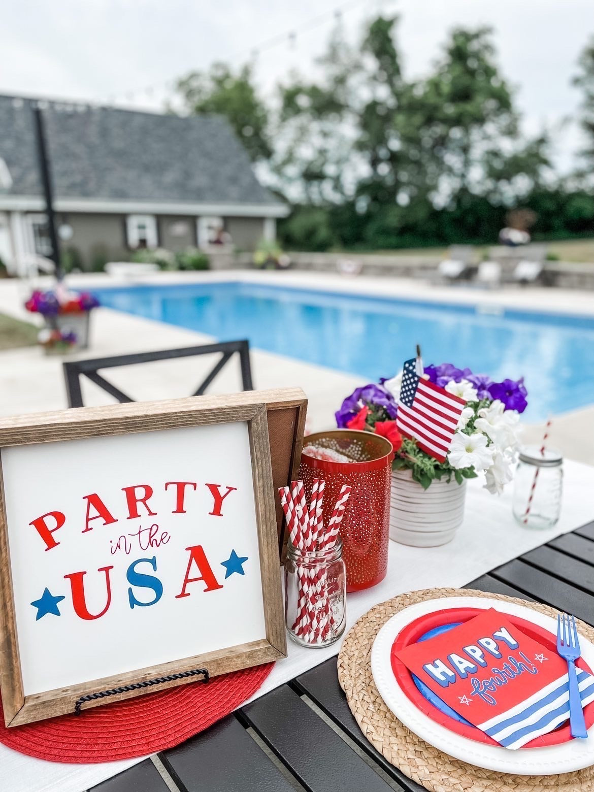 Party in the USA Framed Saying
