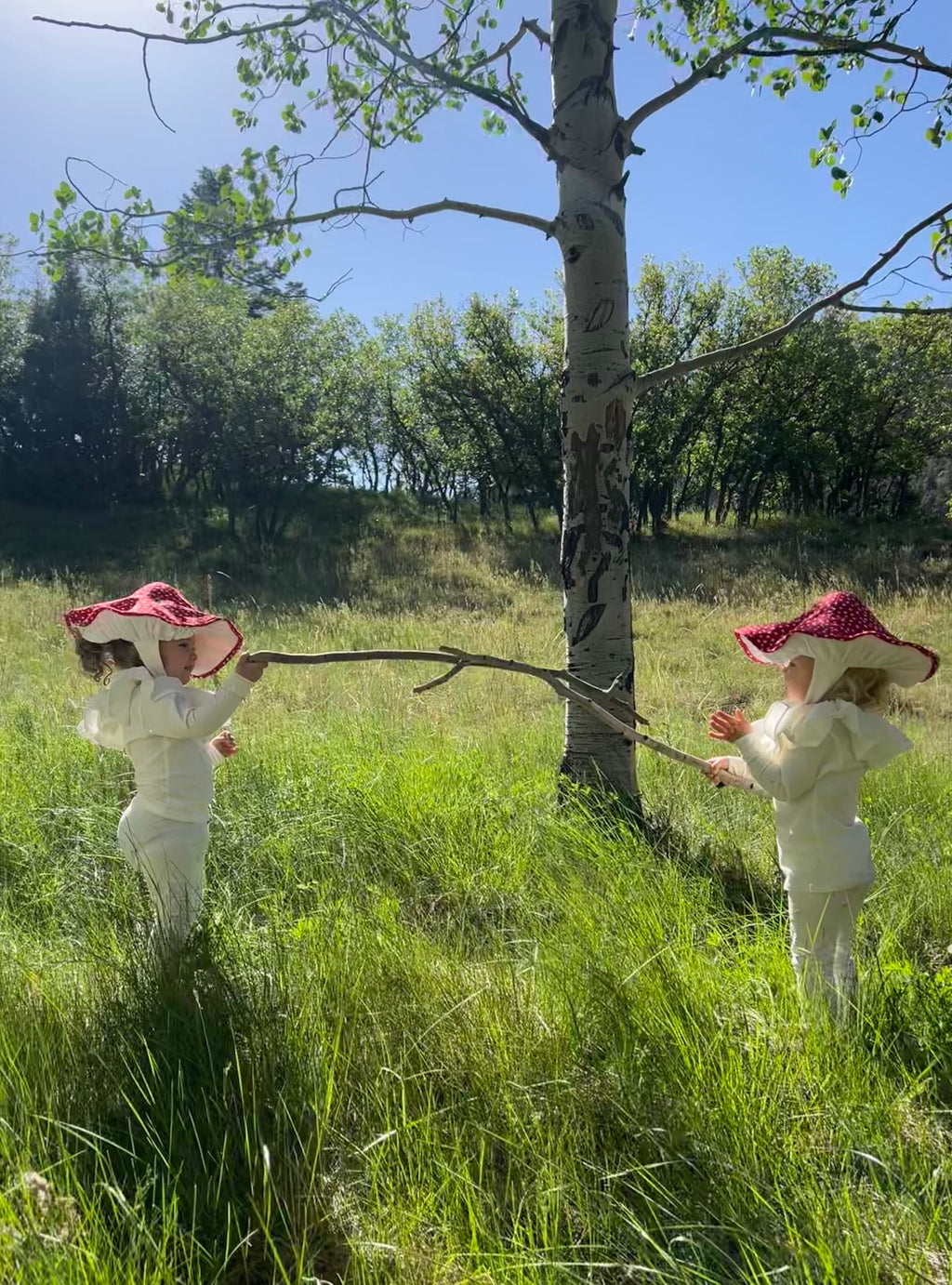 Baby Toadstool Halloween Costume - Mushroom Costume