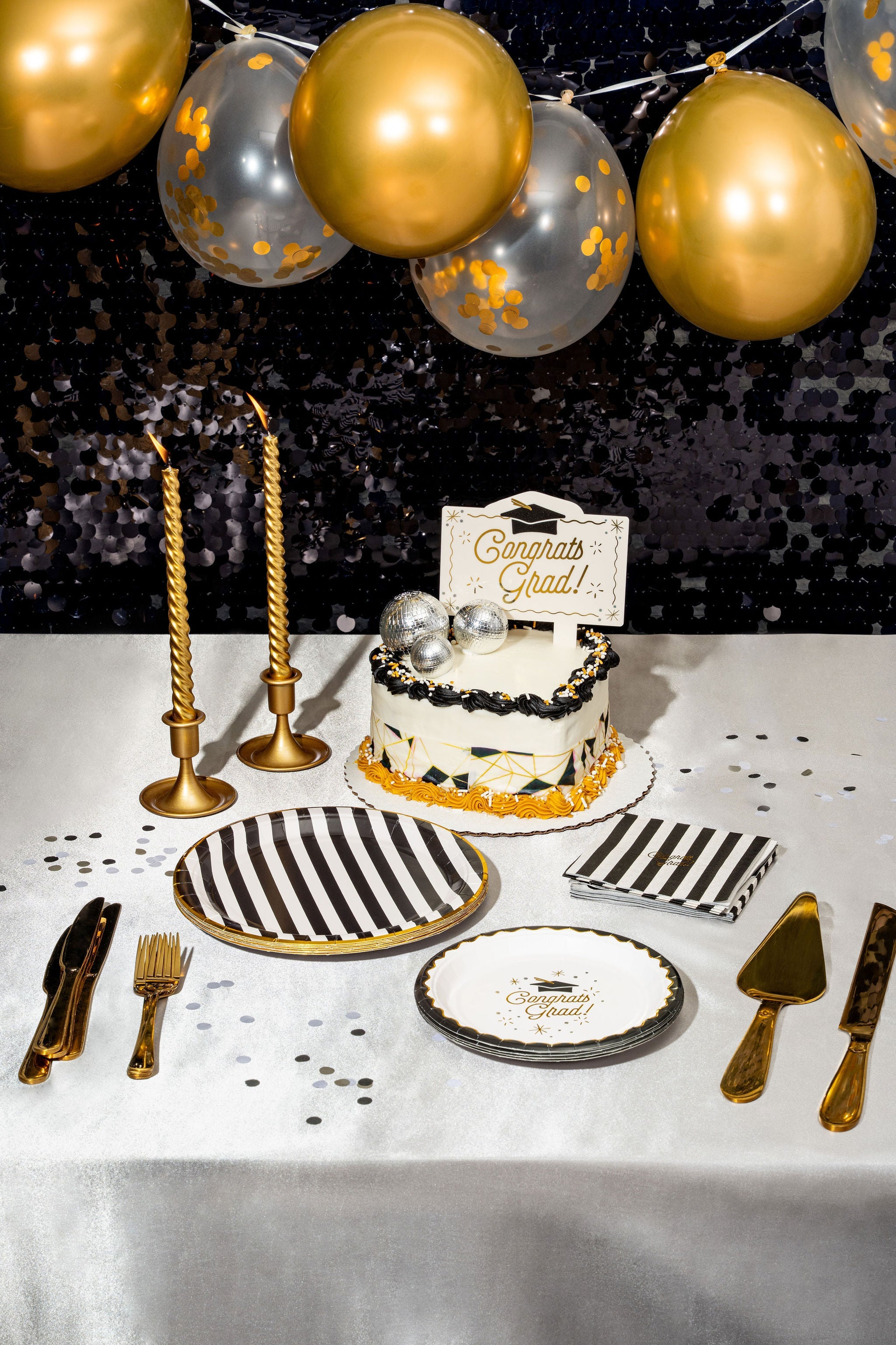 Black Stripe Dinner Plates