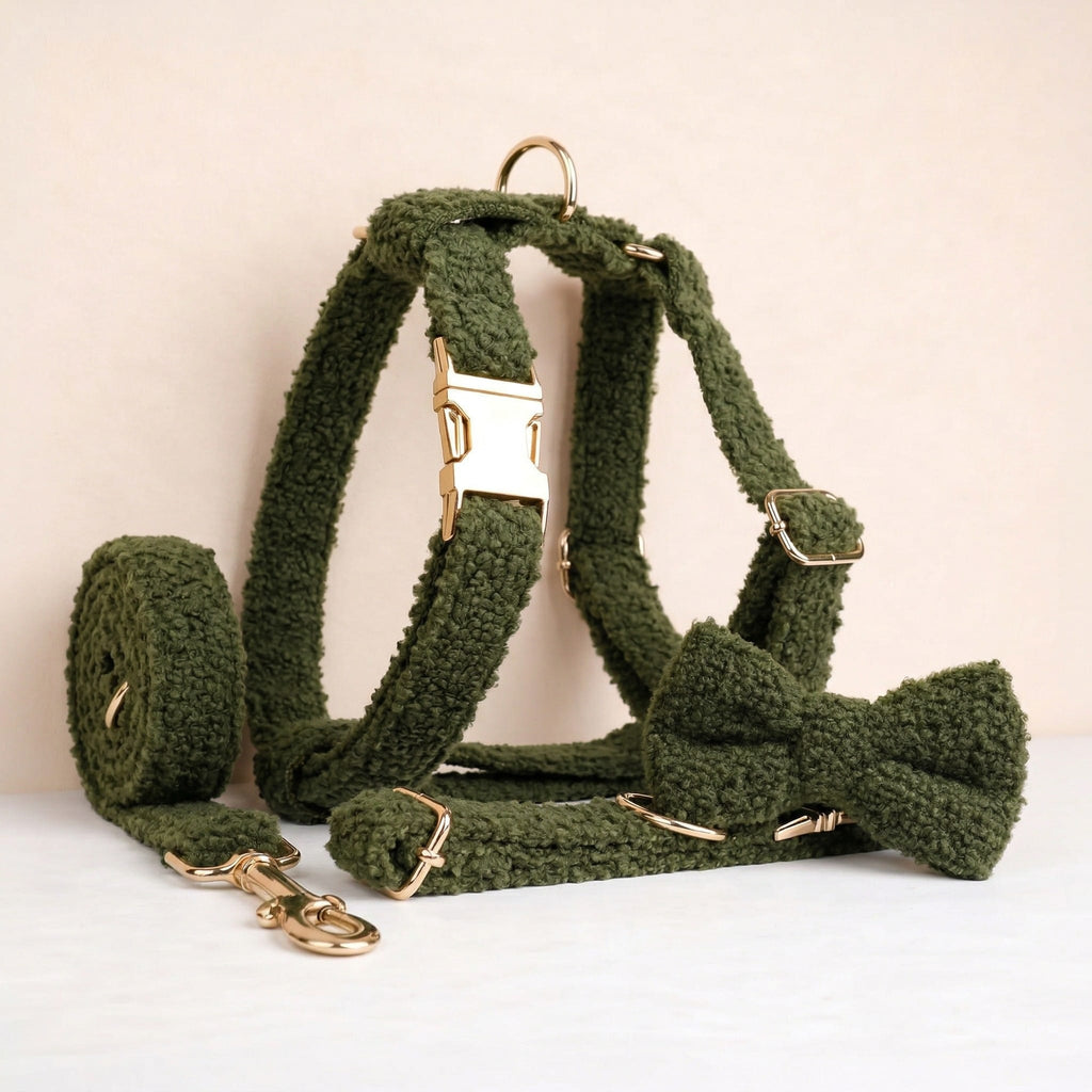 Cozy Olive Teddy Set