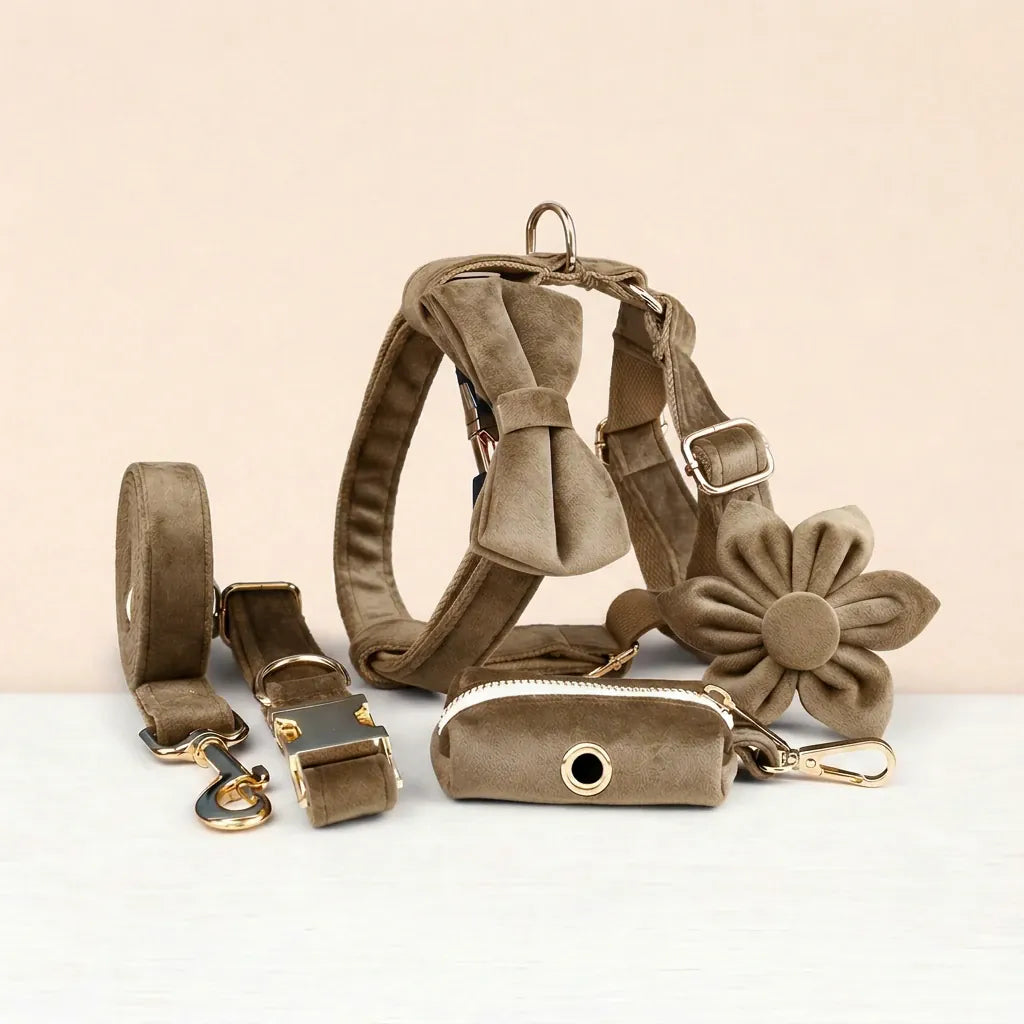 Shallow Khaki Velvet Set