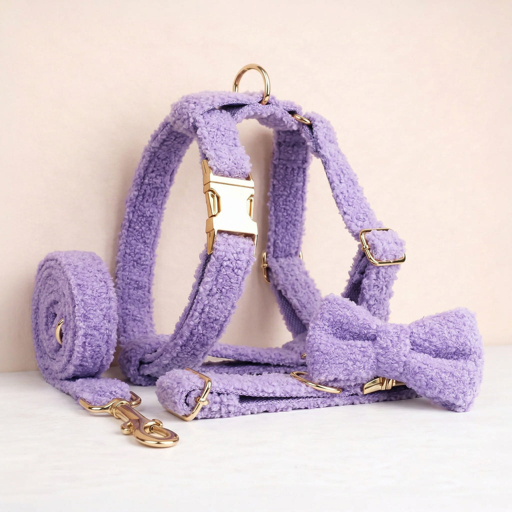 Teddy Purple Set