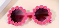 Sunny Daisy Sunglasses for Littles