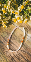 Beautiful Beaded Necklace