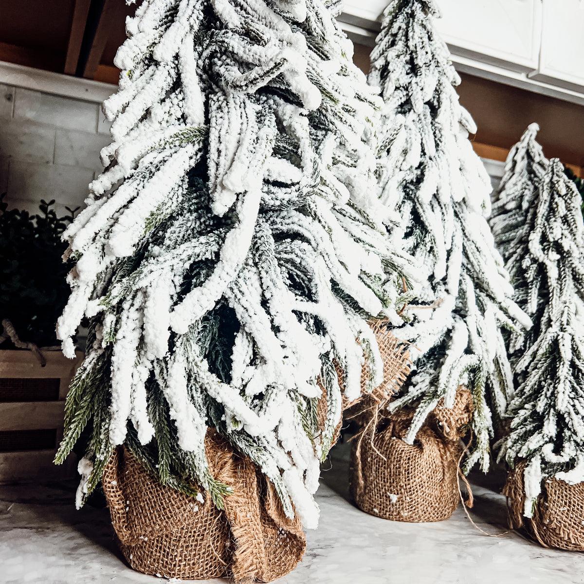 Snow Covered Trees OG