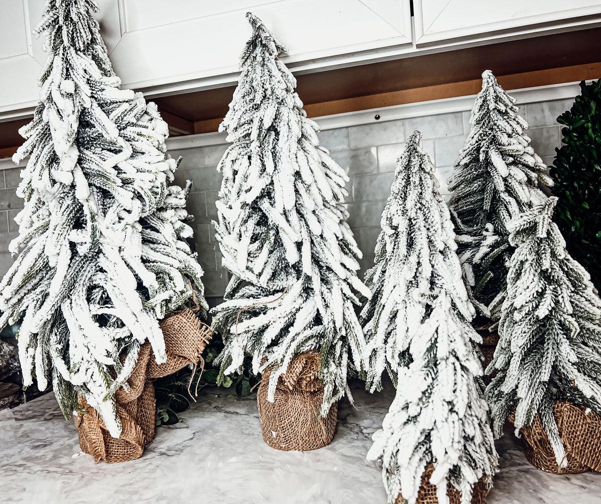 Snow Covered Trees OG