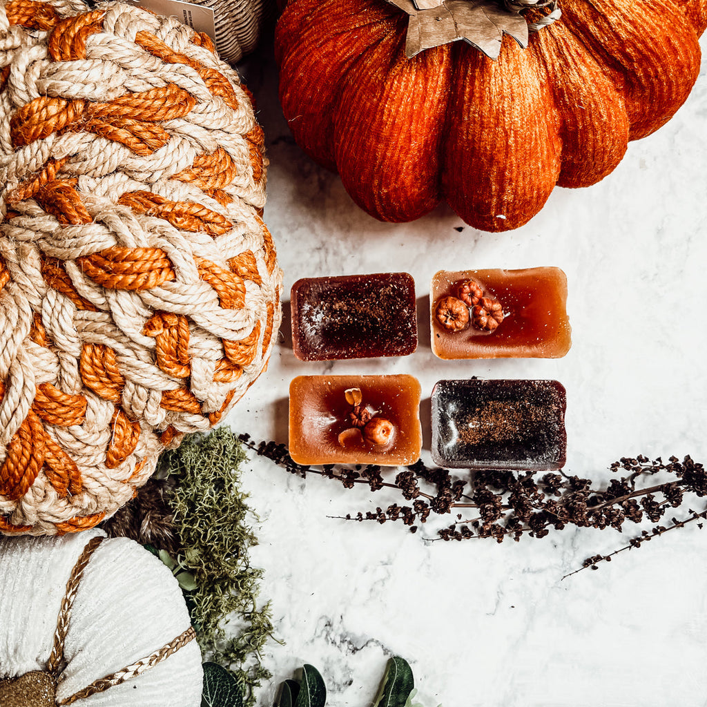 Fall Harvest Natural XL Wax Melts Pack Pumpkin Cranberry Clove Cozy Autumn Scented 4 Extra Large Cubes