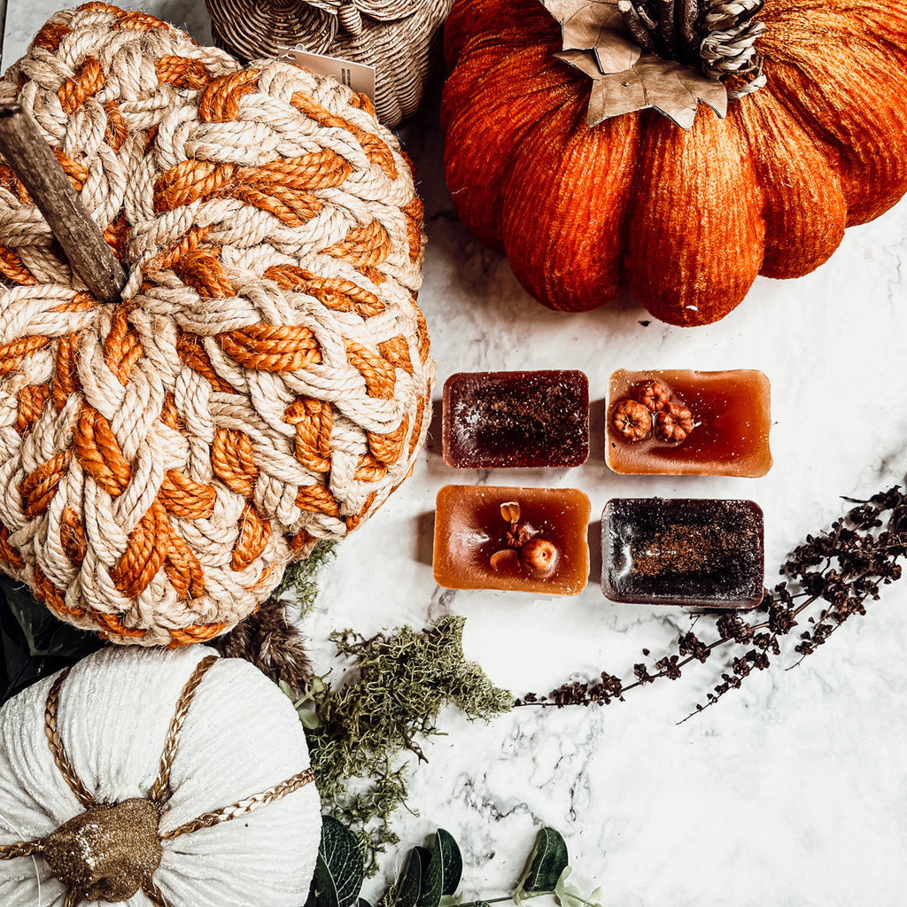 Fall Harvest Natural XL Wax Melts Pack Pumpkin Cranberry Clove Cozy Autumn Scented 4 Extra Large Cubes