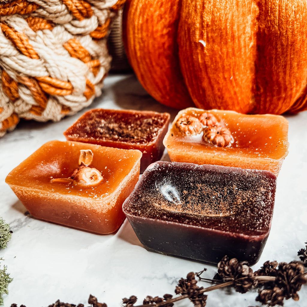Fall Harvest Natural XL Wax Melts Pack Pumpkin Cranberry Clove Cozy Autumn Scented 4 Extra Large Cubes