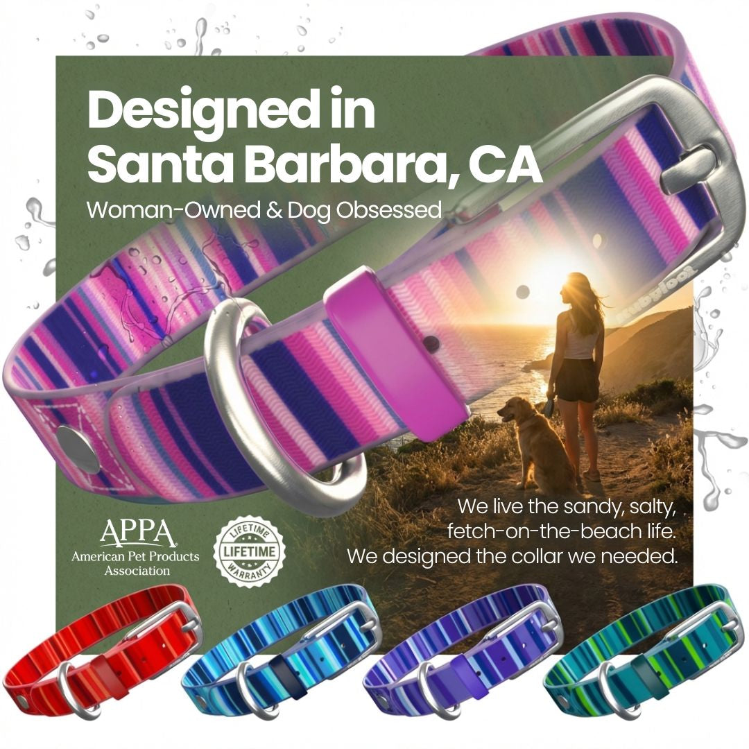 Waterproof Dog Collars – Washable Dog Collar, Stink-Proof & Durable