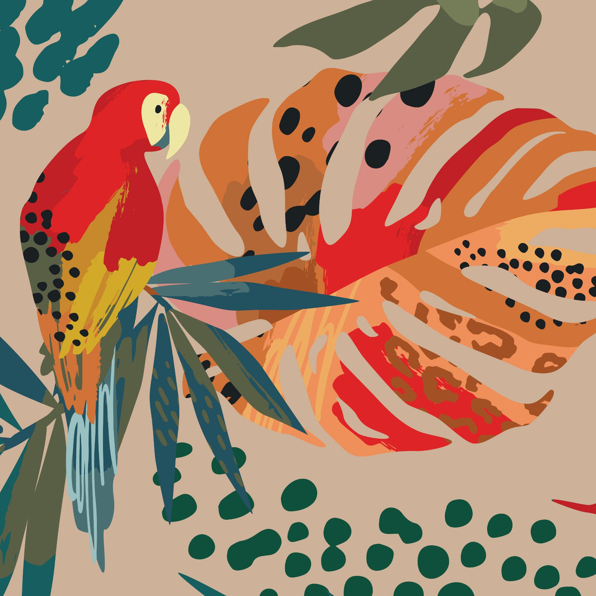 Macaw Wallpaper