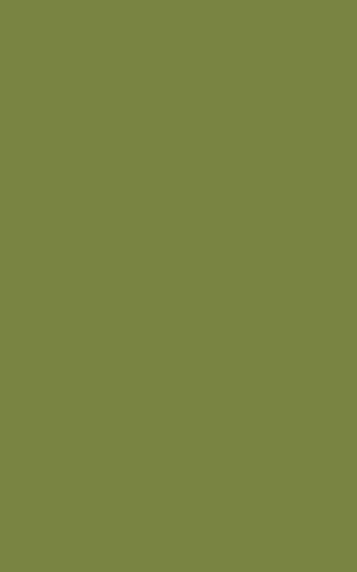 Natural Olive