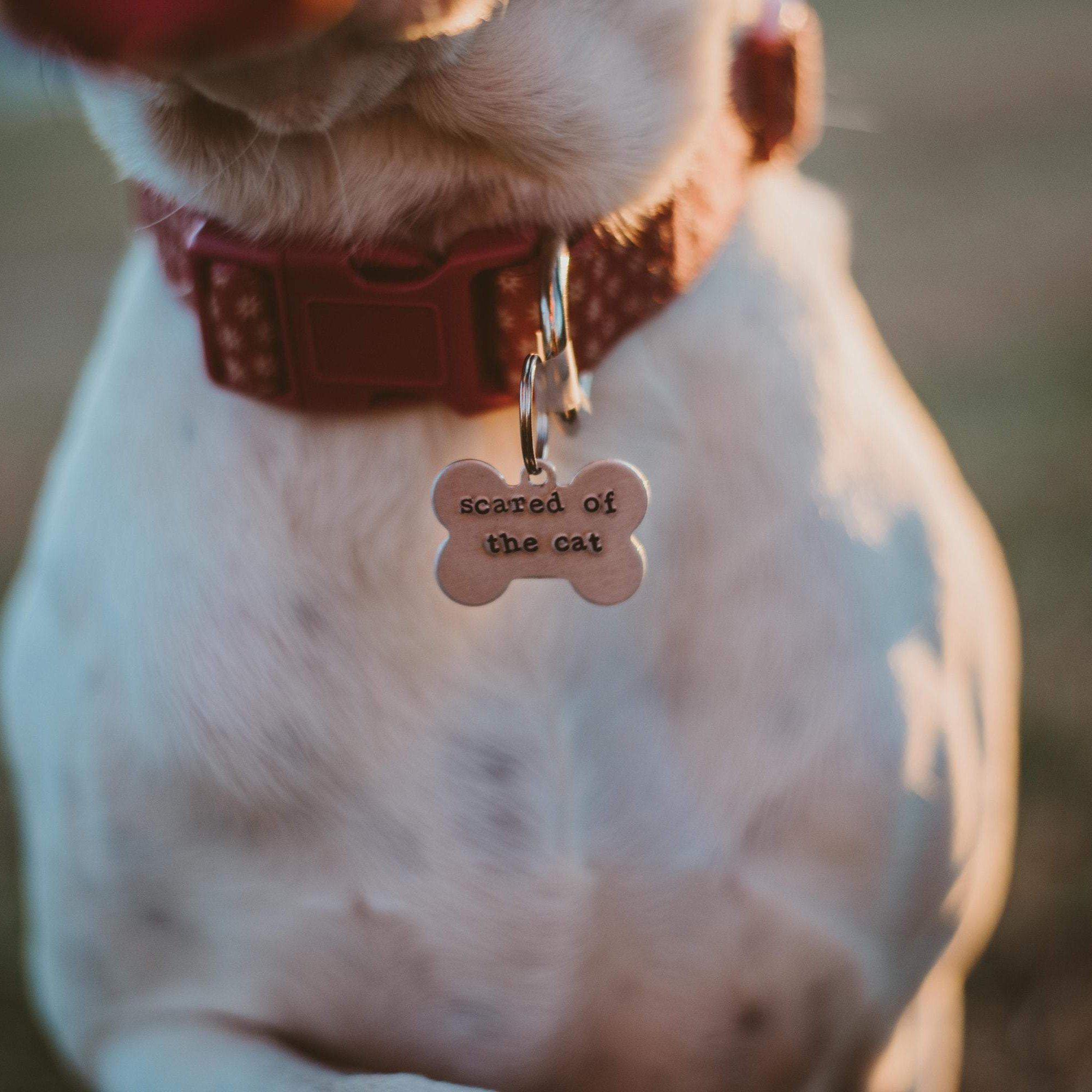 SCARED OF THE CAT Bone-Shaped Pet Tag