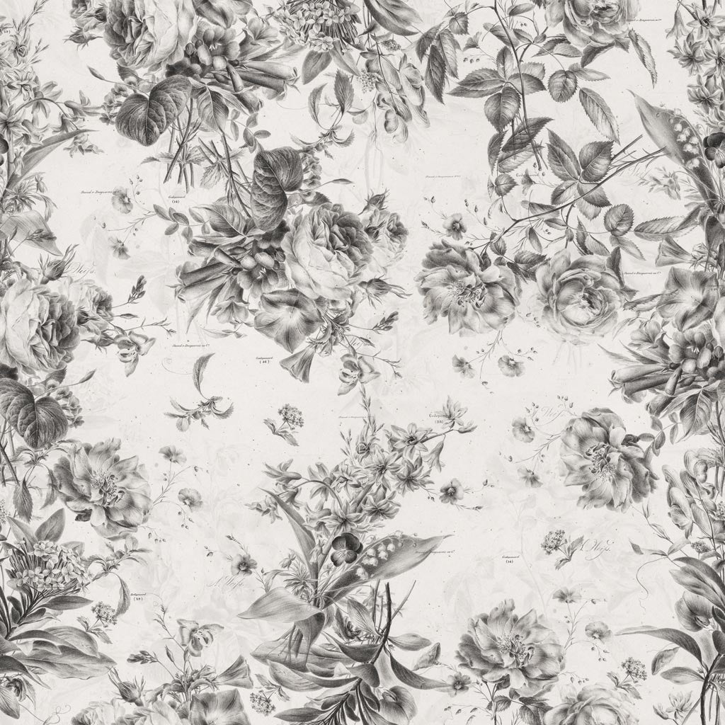 Daphne Wallpaper - 8 FT H X 26.9 FT W P&S