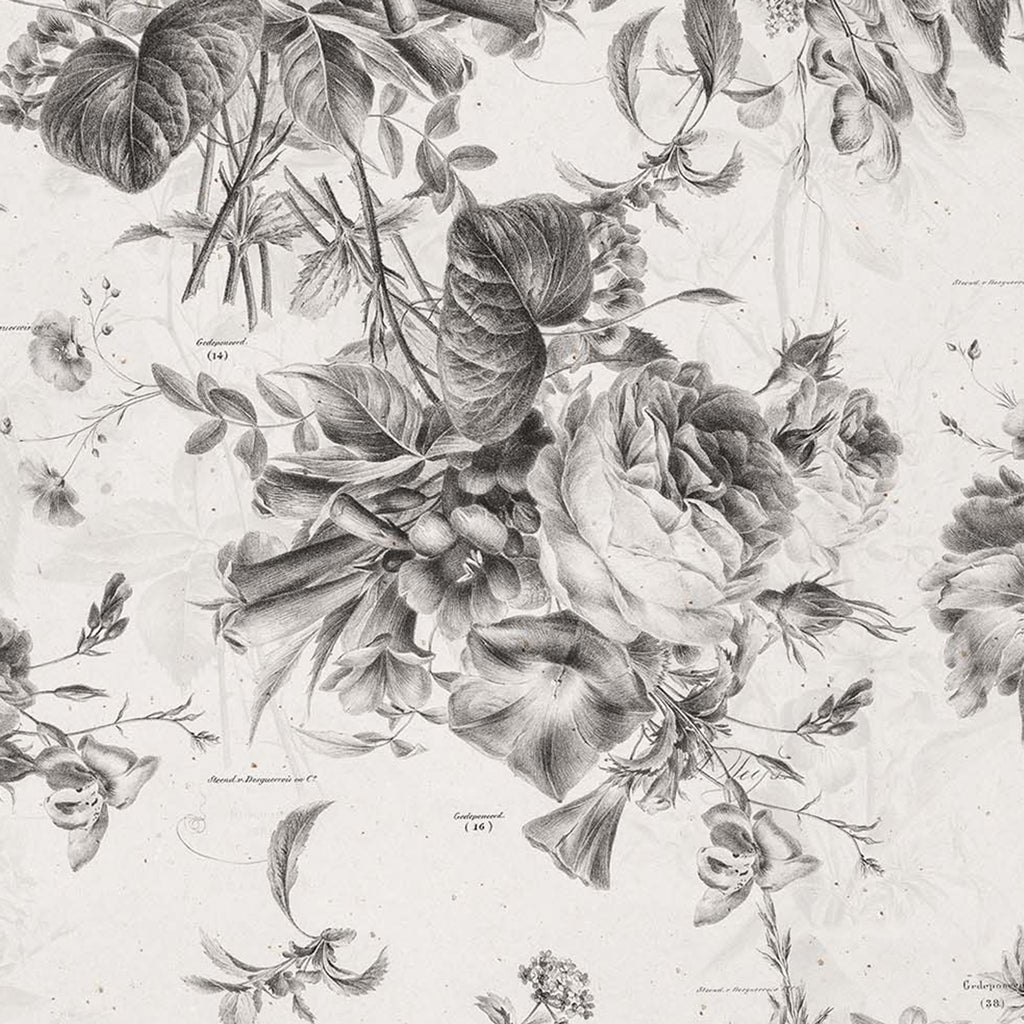 Daphne Wallpaper - 8 FT H X 26.9 FT W P&S