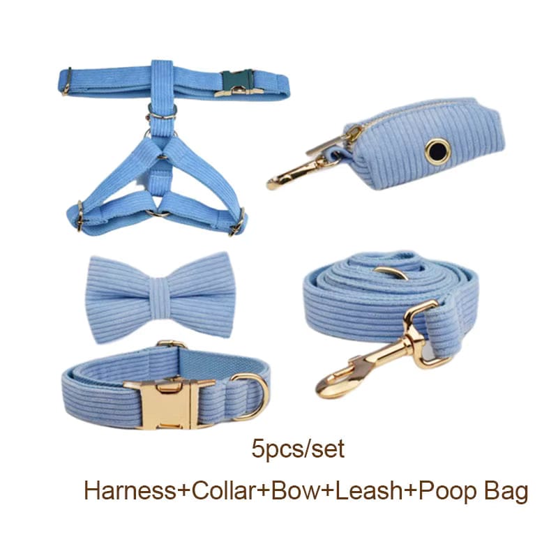 Blue Corduroy Set