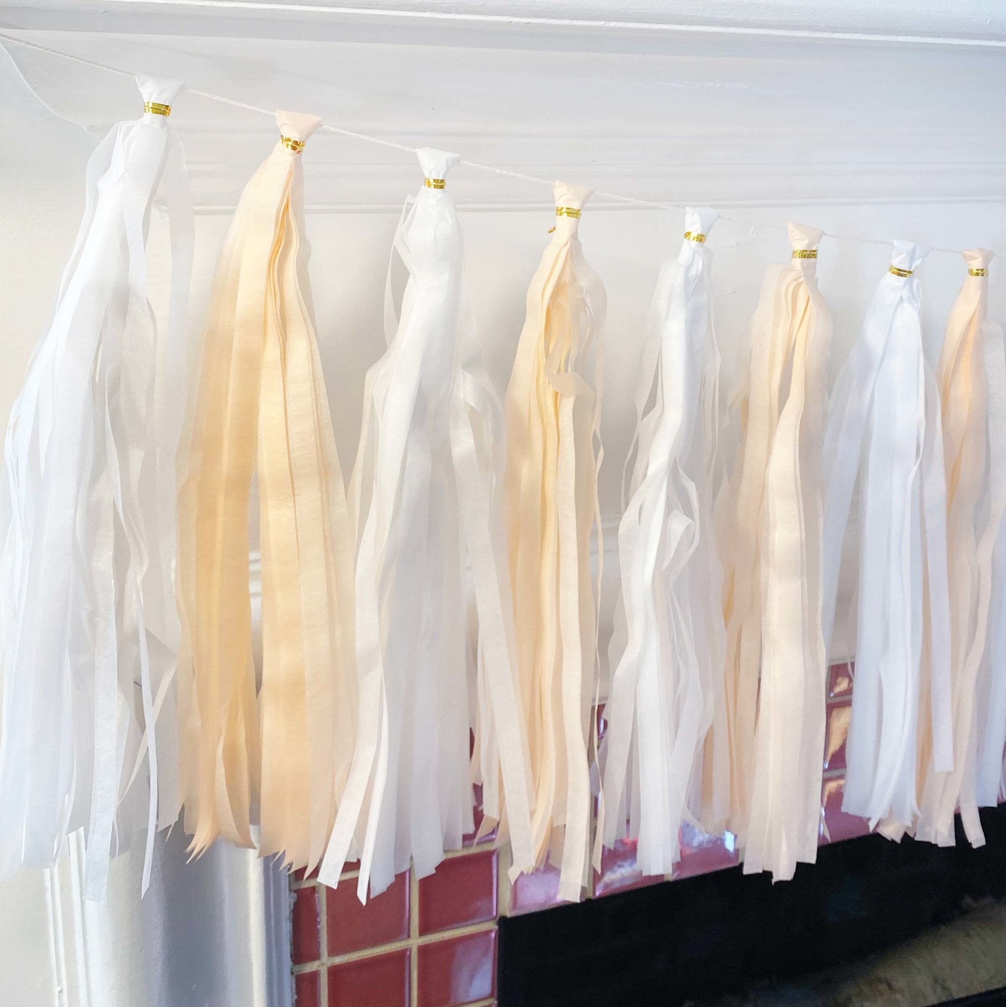 White and Blush Paper Tassel Tail