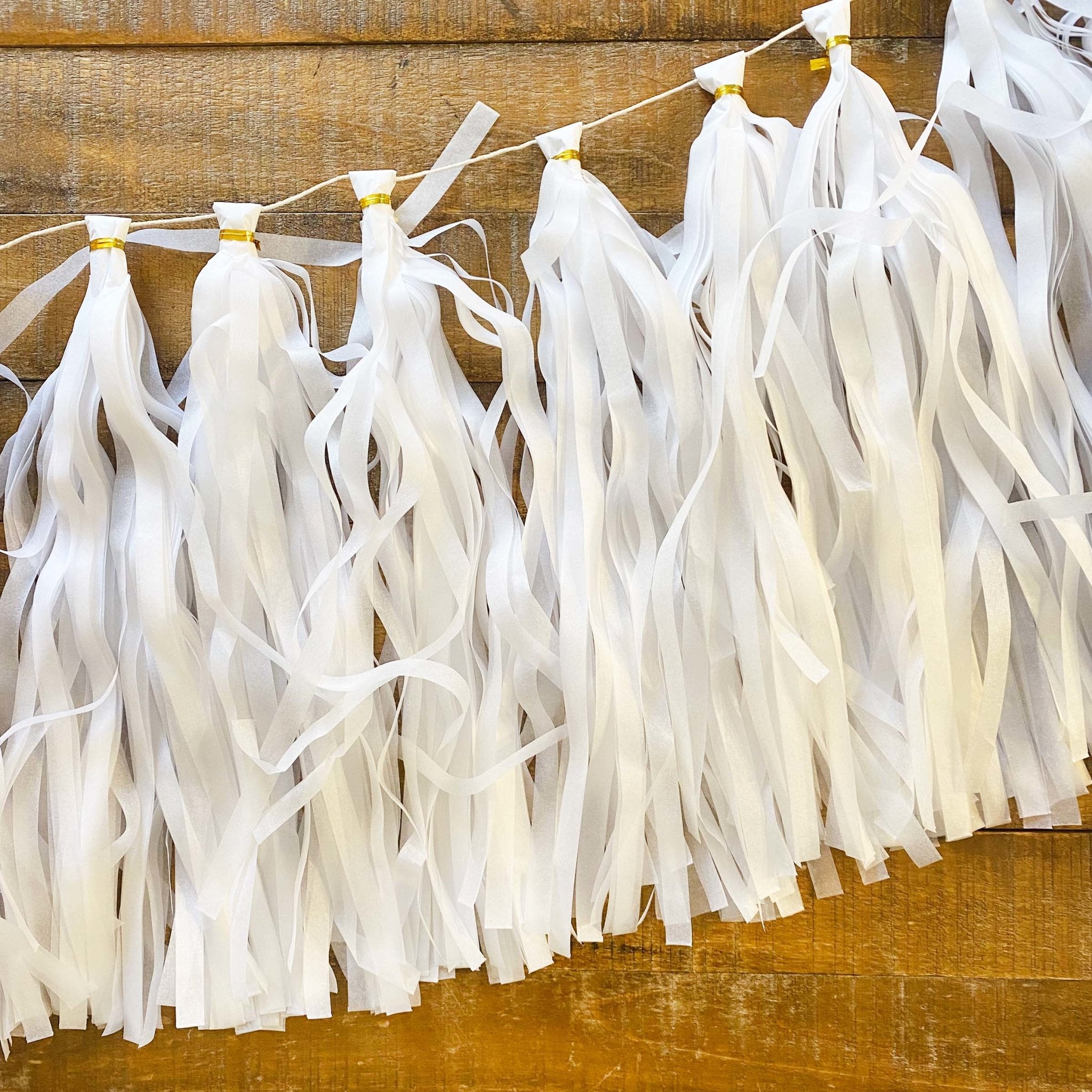 Paper Tassel Kit