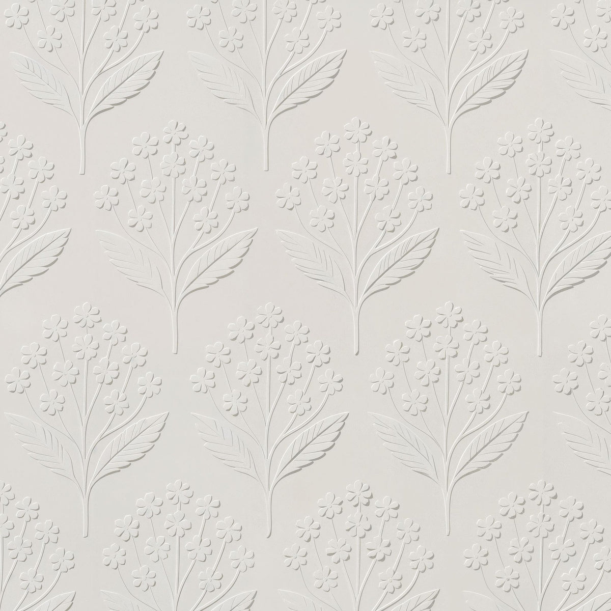 Sweet Alyssum Wallpaper