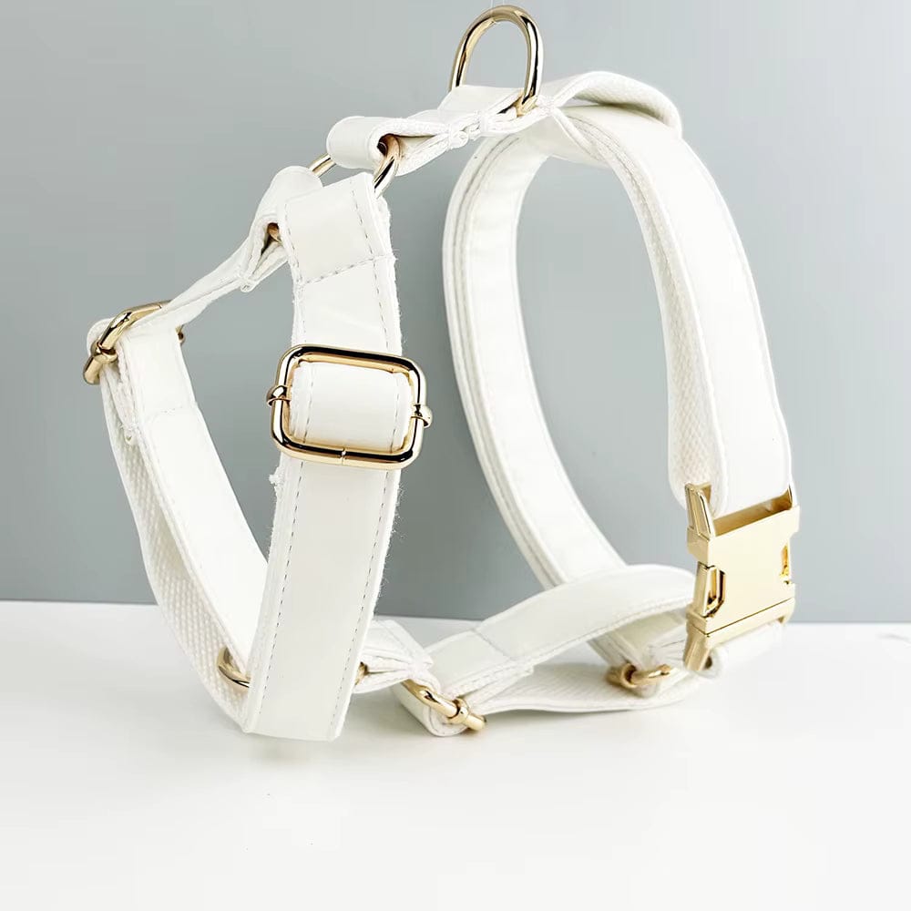 White Leather Set