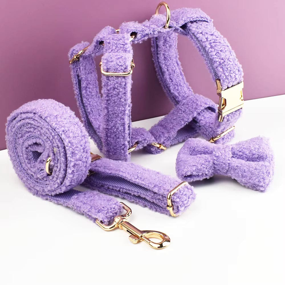 Teddy Purple Set