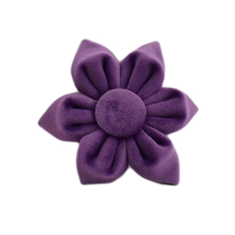 Velvet Purple Set