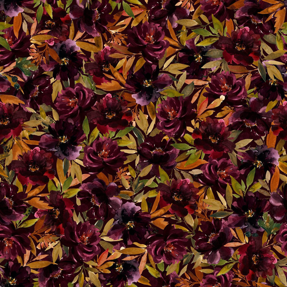 Ginger Wallpaper
