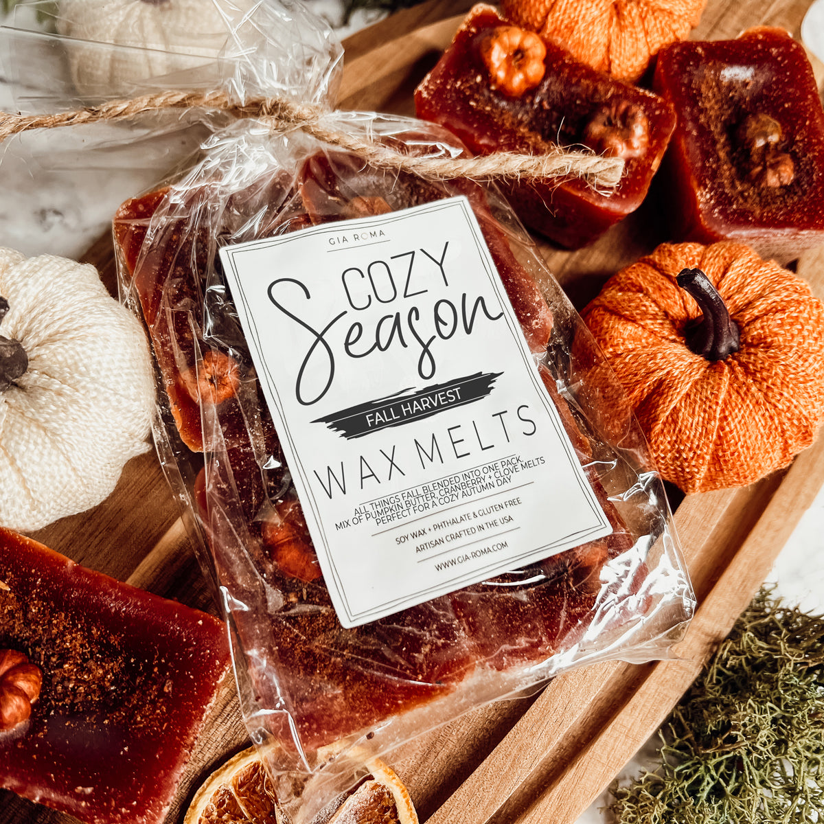 Fall Harvest Natural XL Wax Melts Pack Pumpkin Cranberry Clove Cozy Autumn Scented 4 Extra Large Cubes