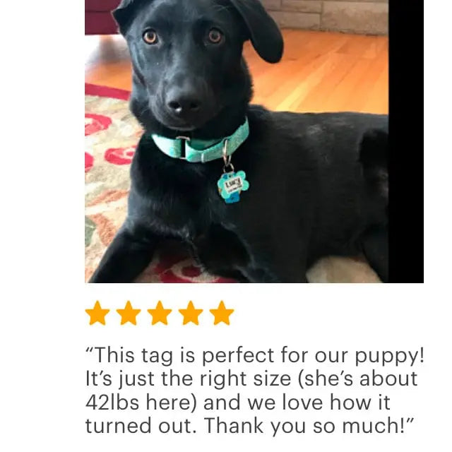 Personalized Dog Tag - Dog Id Tag - Personalized Bone Dog Tag - Custom Pet Id Tag