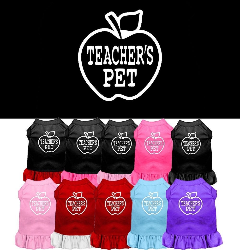 Pet Dress "Teacher's Pet"