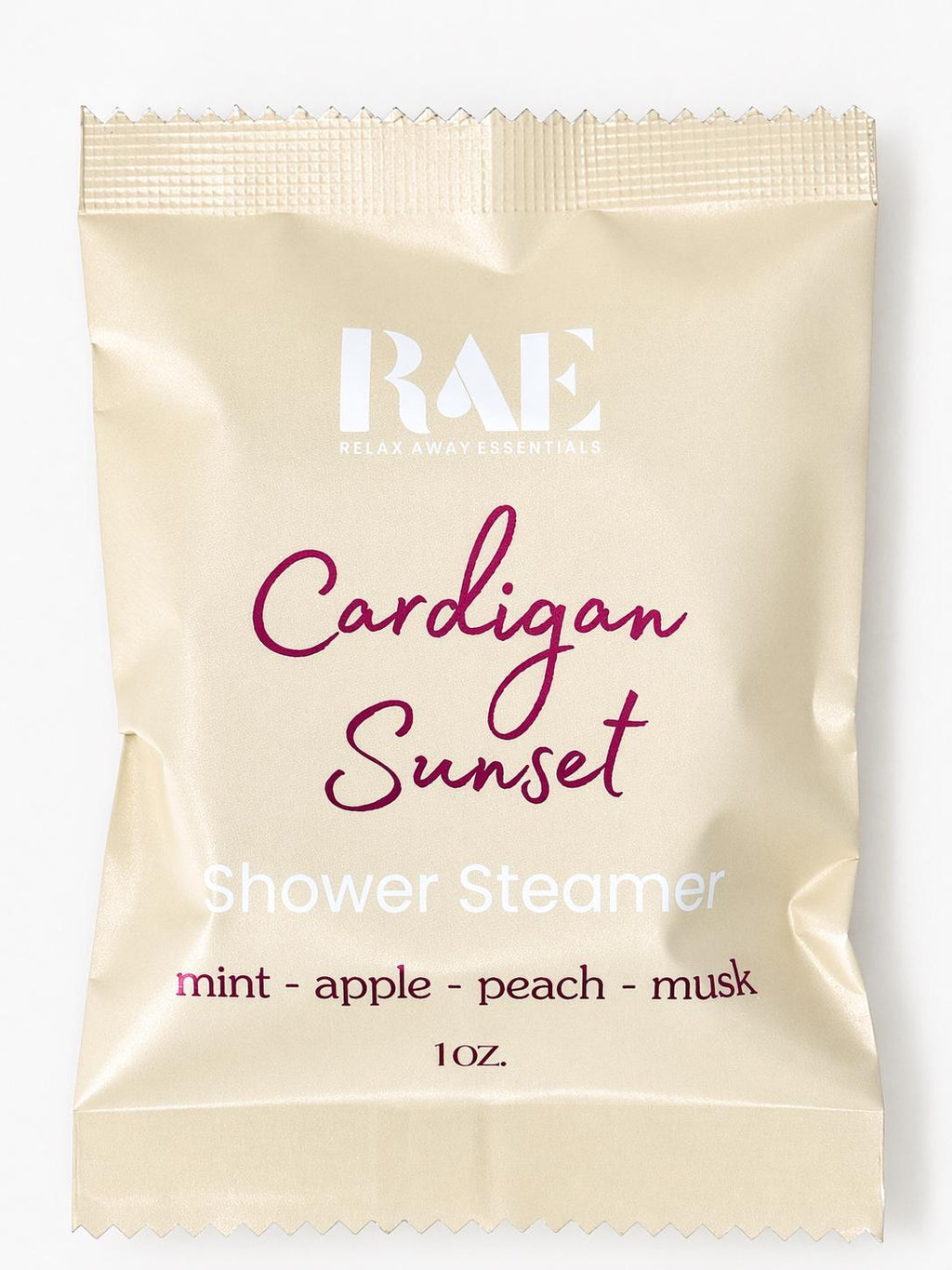 Cozy Shower Steamers 6 Pack | Fall Shower Steamers | Comfort Gift - Aromatherapy | Gift for her | Gift for him | Autumn Aromatherapy