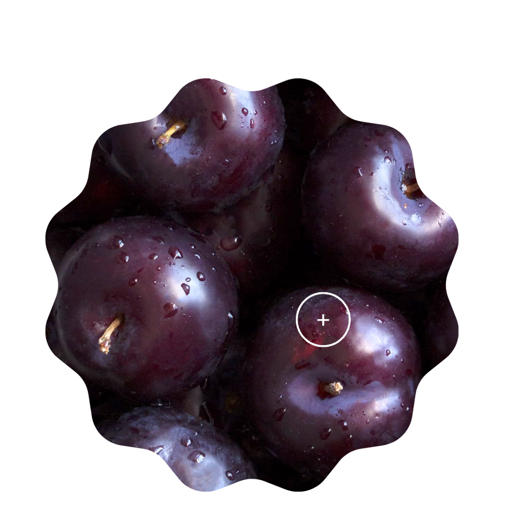 plum pudding
