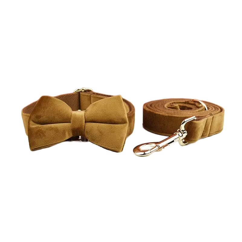 Light Coffee Velvet Set