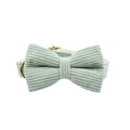 Light Green Corduroy Set