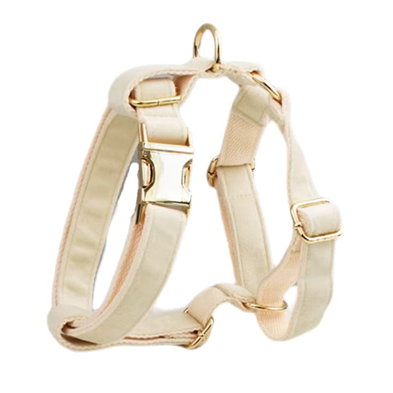 Milky White Velvet Set