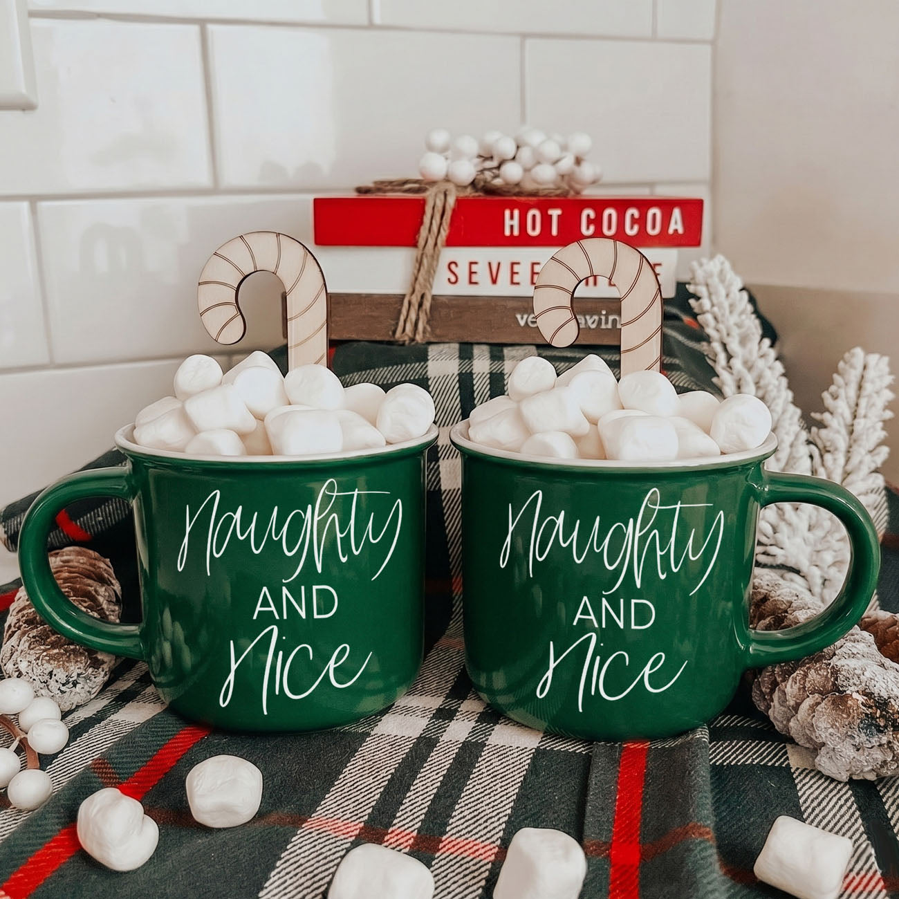 Naughty & Nice PRE-ORDER