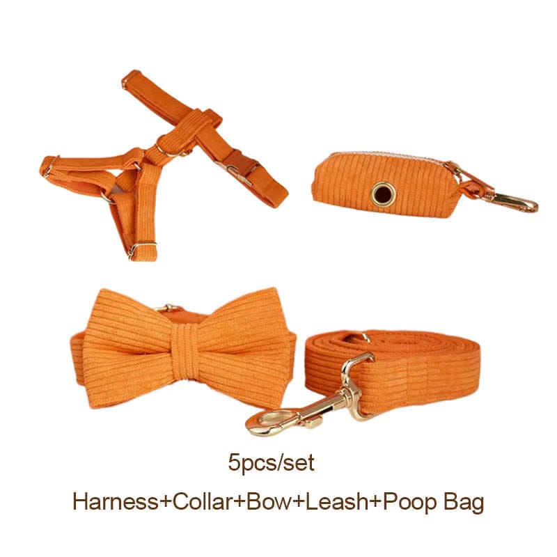 Orange Corduroy Set