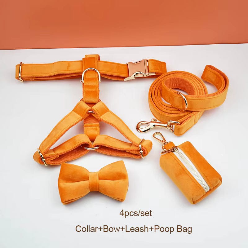 Orange Velvet Set