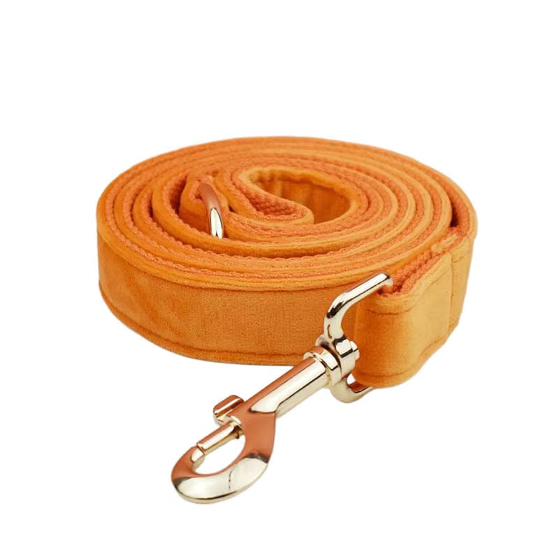 Orange Velvet Set